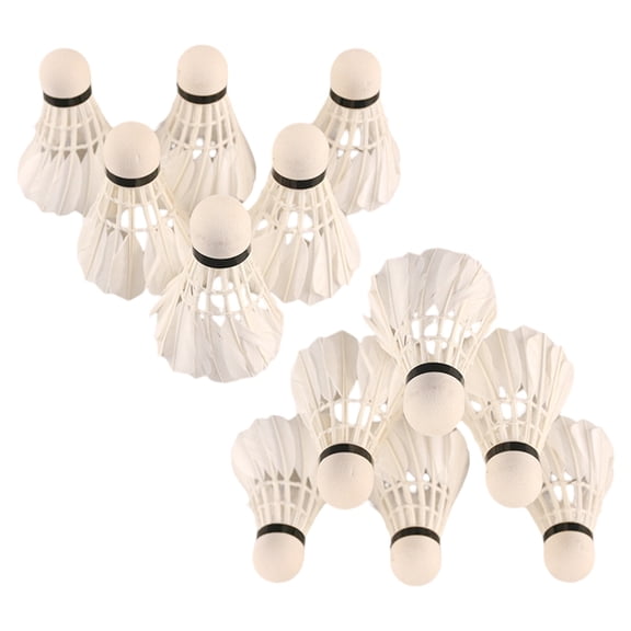 12pcs Duck/Goose Feather Cock/Foam Head Shuttle Cocks Shuttlecocks Set Badminton Ball Game with Storage Tube