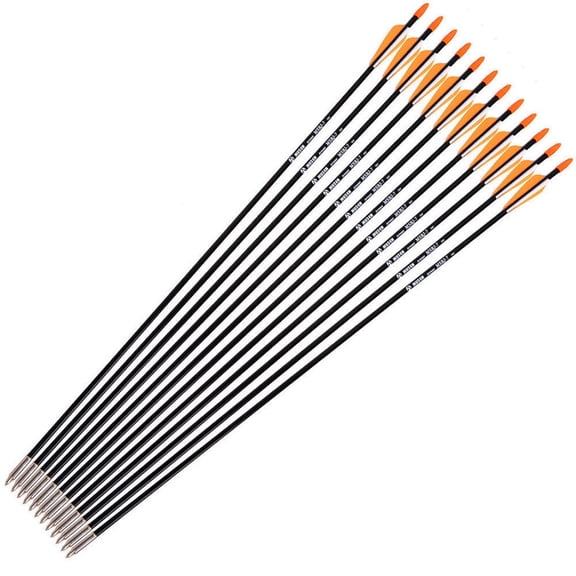 12pcs Fiberglass Arrows training 31" Archery 7mm F Recurve bow & Compound Bow Hunt