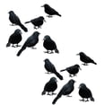 thumbnail image 1 of 12pcs Halloween Black Feathered Crows,Fake Crow Feathered Black Crows,Realistic Bird Halloween Ravens Decor Props, 1 of 6