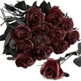 thumbnail image 1 of 12pcs Halloween Black Roses Flowers, Artificial Silk Roses Flowers Faux Black Roses Bouquets for Halloween Centerpiece, Halloween Party Indoor or Outdoor Decoration, 1 of 5