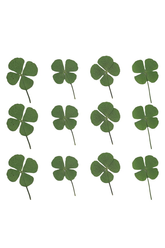 12pcs Lovely Four Leaf Clover Dried Clover Jewelry Accessories DIY Decoractive Materials for Necklace Earrings Bracelet (Green)
