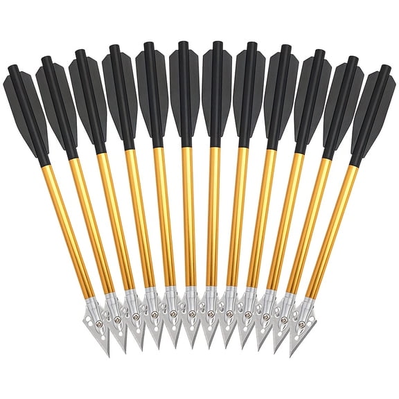 12pcs Of 6-inch Aluminum Arrow Short Arrow Shield-shaped Arrow Tail Outdoor Hunting Arrows