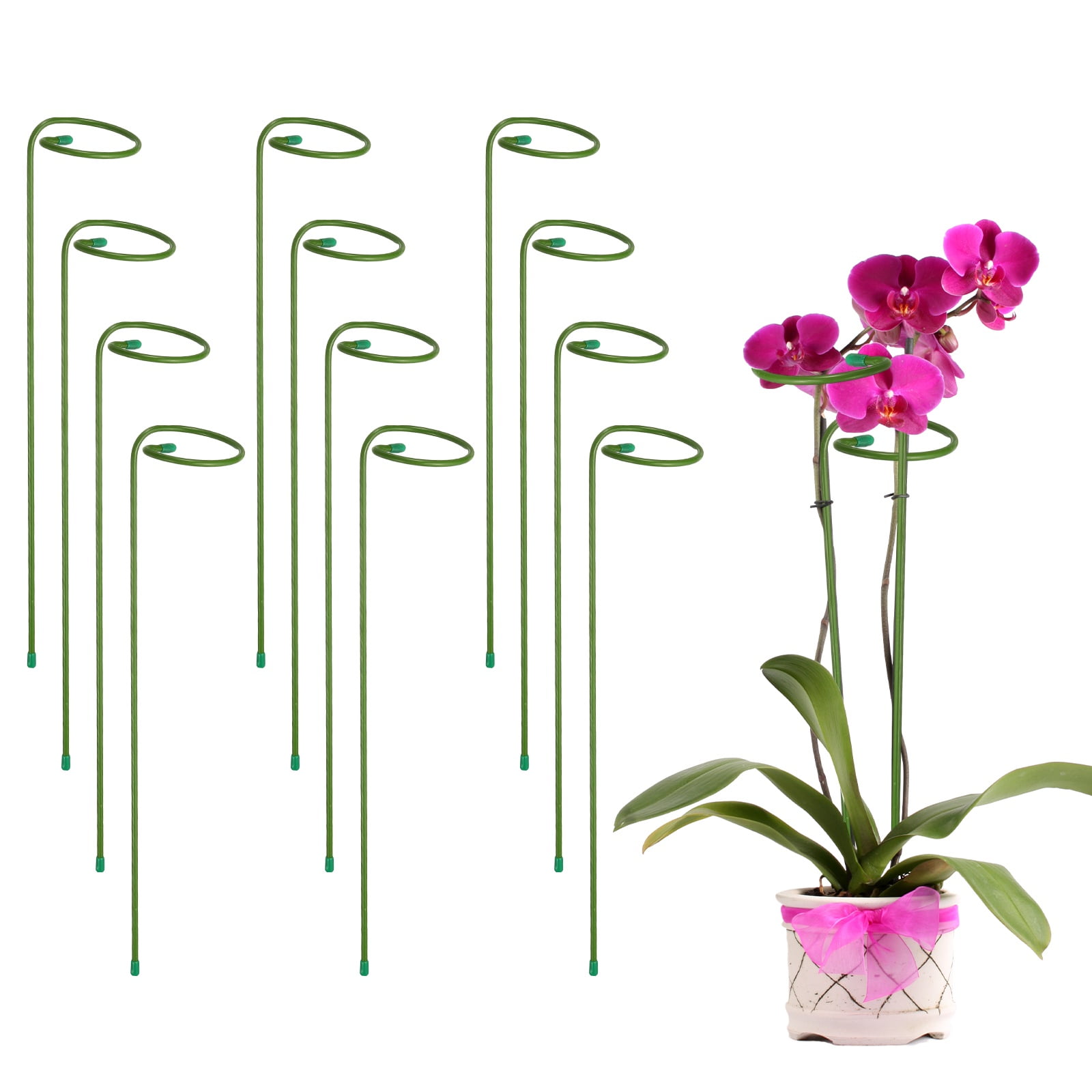 12pcs Plant Support Stakes, 14inch Single Stem Stakes Garden Plant Cage Support Rings for Orchid Rose Tomato Peony Flowers