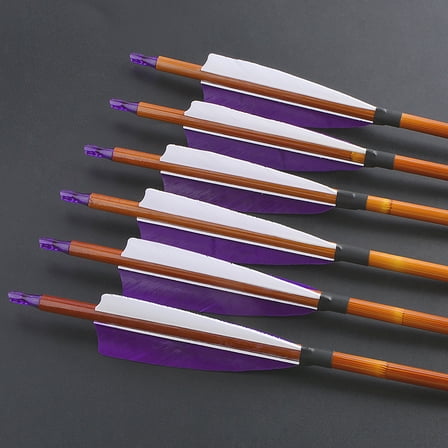 12pcs SHARROW Bamboo Carbon Arrows 500 Spine 2 Purple 1 White