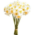 thumbnail image 1 of 12pcs White Fake Flowers Artificial Daffodils Flowers 16" for Mother's Day Easter Party Home Decoration, 1 of 5