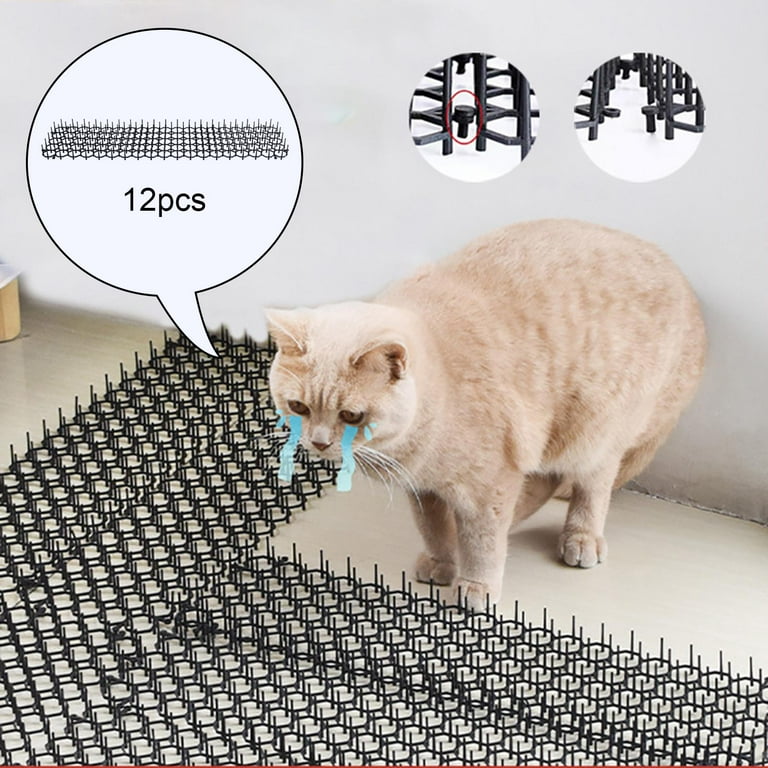 Cat scat spray 2025