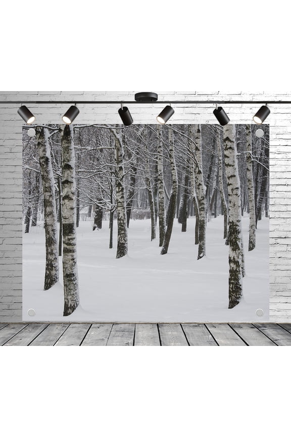 12x10ft Serene Snowy Birch Forest Backdrop Photoshoot Photo Backdrop Nature Scenery Background for Theme Party Wedding Birthday Baby Shower Decoration Banner Photo Booth Studio Props