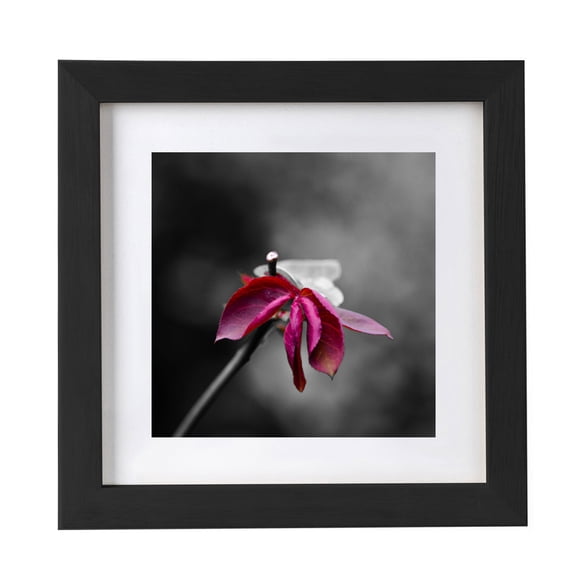12x12 Picture Frame Multi Photo Frames Collage for Wall or Tabletop Display Quality Solid Wood Frame,Can Be Hung Horizontally or Vertically(2in1-Hang or Place on the Table)