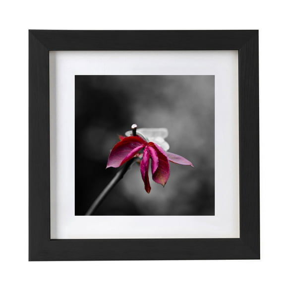 12x12 Picture Frame Multi Photo Frames Collage for Wall or Tabletop Display Quality Solid Wood Frame,Can Be Hung Horizontally or Vertically(2in1-Hang or Place on the Table)