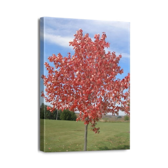 12x16 Hand-Drawn Modern Scenery Prints - Tree Artwork for Wall Decorations in Bedroom, Office, Kitchen - Stunning Visual Appeal