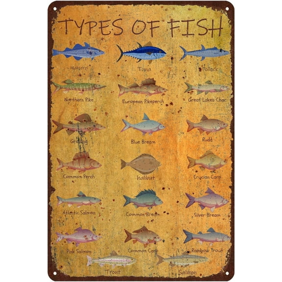 12x16 Inch Types Of Fish Vintage Metal Tin Sign Retro Knowledge Metal Plaque,Funny Retro Fishing Decor Home Bar Cafe Man Cave Wall Art Decoration Gifts