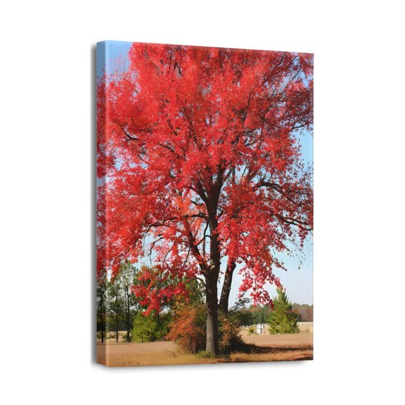 12x16 Modern Scenery Tree Draw Prints - Artwork for Wall Decorations in Bedroom, Office, Kitchen - Classy & Elegant Design