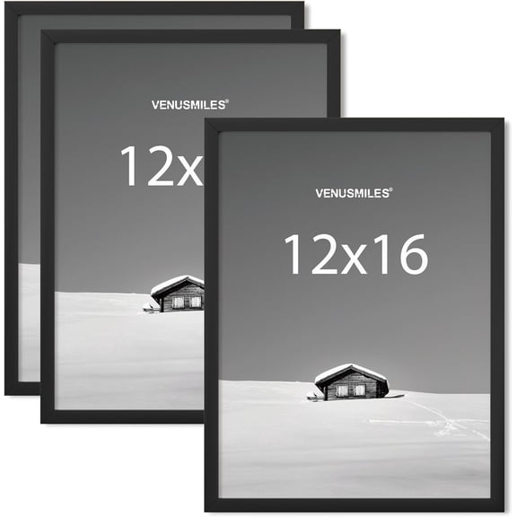 12x16 Picture Frame, Display 12x16 Photo Frames - High Definition Plexiglass - Vertical and Horizontal Display - Wall Hanging or Table Top Frame - Black, 3 Pack