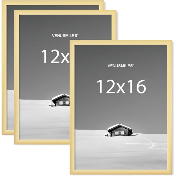 12x16 Picture Frame, Display 12x16 Photo Frames - High Definition Plexiglass - Vertical and Horizontal Display - Wall Hanging or Table Top Frame - Gold, 3 Pack