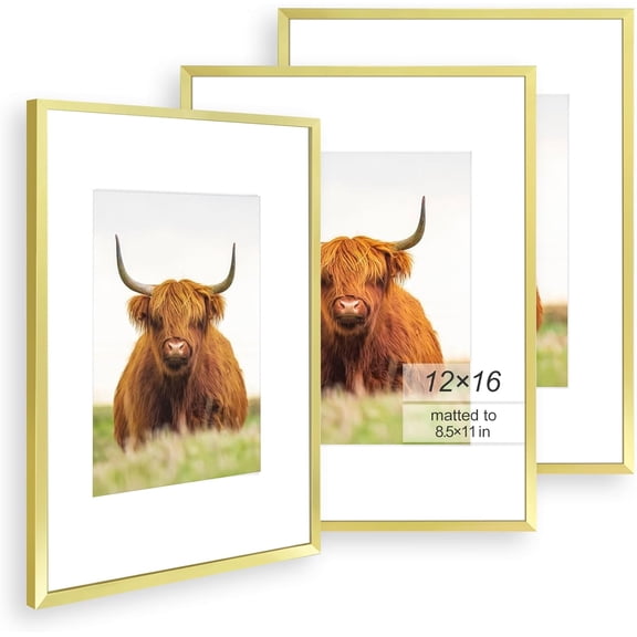 12x16 Picture Frame Set of 3, Gold Thin Border, Display Photo 8.5x11 with Mat or 12x16 Without Mat, Poster Frame for Wall Hanging Horizontal and Vertical