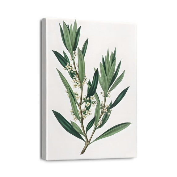 12x16 Wall ArtBotanical Eucalyptus Decor, Plant Prints for Nature Lovers