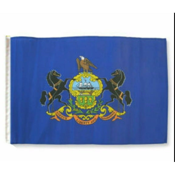 12x18 12"x18" State of Pennsylvania Sleeve Flag Boat Car Garden