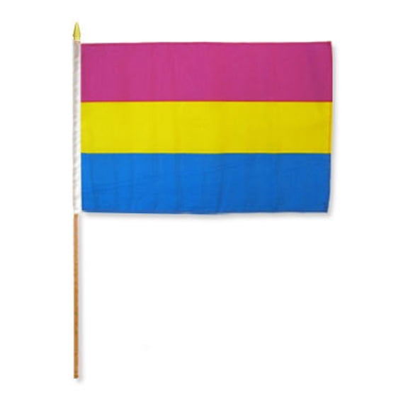 12x18 Pansexual Pride Stick Flag 12x18in - LGBTQIA - Pan Pride LGBT