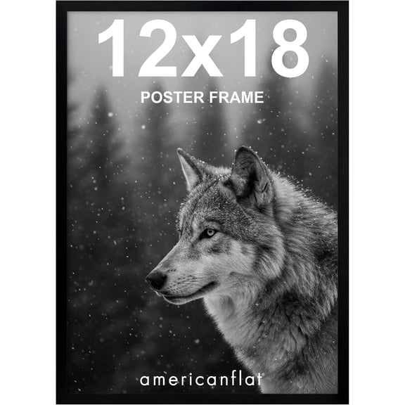 12x18 Poster Frame with Polished Plexiglass - Streamline Collection - Thin Border Picture Frame for Wall Display - Hanging Hardware Included - Black