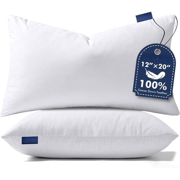 12x20 Pillow Inserts, Set of 2 Down Throw Pillows for Couch | Decorative Pillows, Cover, Breathable and , Triple-layer Leakproof Design, Ideal for Sofa Bed