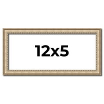12x5 IN Frame Silver Real Wood Picture Frame Width 0.75 Inches | Interior Frame Depth 0.5 Inches |
