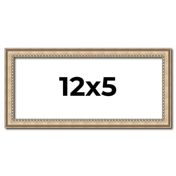 12x5 IN Frame Silver Real Wood Picture Frame Width 0.75 Inches | Interior Frame Depth 0.5 Inches |