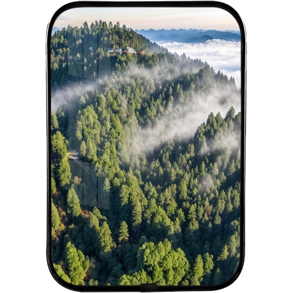 12x8 Inches Framed Forest Wall Art Green Pine Tree Nature Pictures Morning Misty Forest Print Artwork with Black Frame for Bedroom,Crystal Porcelain Painting Wall Decor