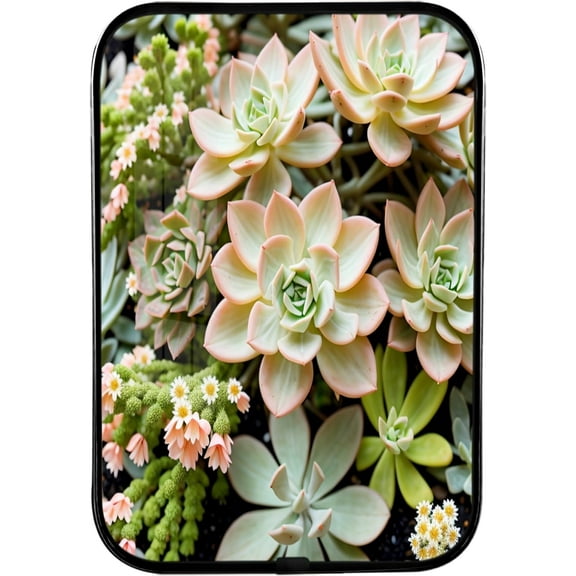 12x8 Inches Framed Succulents Wall Art Decor Green Plant Flowers Photo Prints Nature Landscape Artwork with Black Frame for Dorm,Crystal Porcelain Painting Wall Decor