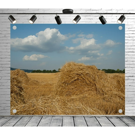 12x8ft Grass Backdrop Straw Bales and Golden Crop Photo Backdrop Summer Background Decoration Banner for Theme Party Wedding Birthday Baby Shower Photo Booth Studio Props