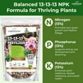thumbnail image 1 of 13-13-13 Slow Release Granular Fertilizer – All Purpose Plant Food 13 13 13 for Outdoor Grass, Vegetables, Roses, Flowers, Shrubs, Trees. Lawns, Gardens, Potted Plants (10 quarts), 1 of 7