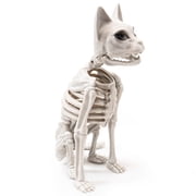 13.3inches Sitting Skeleton Cat,Plastic Animal Skeleton Decorations, Gothic Posable Cat Body, Spooky Party Favors,Full Body Posable Joints Cat Kitty Skeleton Graveyard Party Decor