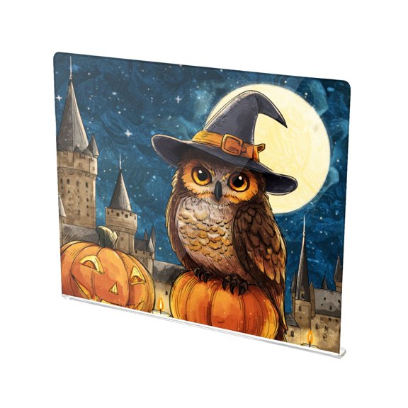 13.4" x 16.5" Food-Grade Acrylic Cutting Board Non-Slip Kitchen Chopping Board Cute Magic Owl