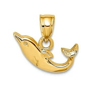 JEWELRYWEB 13.55mm 10k Solid Yellow Gold Polished Mini Dolphin Charm Pendant Necklace for Women - .4 Grams