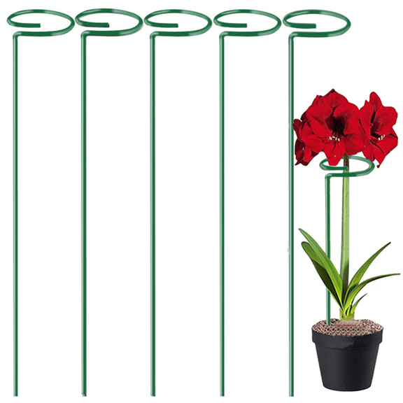 13.7" Tall Plant Support Stakes, 10 Pack Garden Flower Plant Stakes Single Stem, Garden Plant Support Cages Rings for Amaryllis Orchid Peony Rose