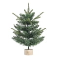 thumbnail image 1 of 13.77Inch Artificial Christmas Tree with Burlap Base, Mini Flocked Pine Tabletop Xmas Tree for Holiday Home Decoration, Indoor Outdoor Christmas Decor, Party Centerpiece, Mantel Decor,DIY Crafts, 1 of 6