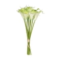 thumbnail image 1 of 13" Calla Lily 9-Piece Bunch - Green, 1 of 3