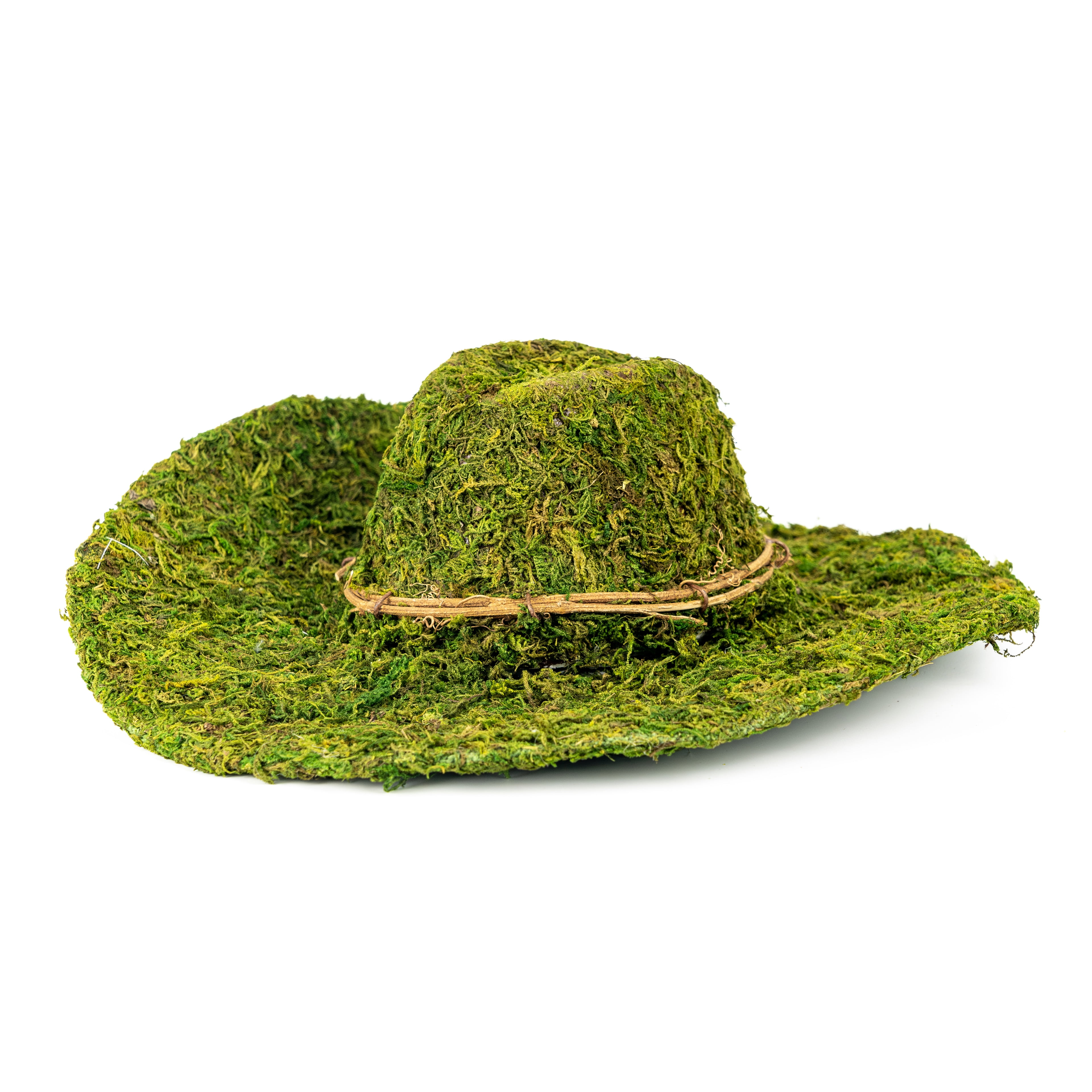 13" Decorative Moss Western Hat by Ashland  - Spring Home Decor