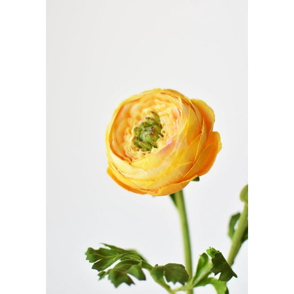13" Faux Yellow Gold Ranunculus Stem