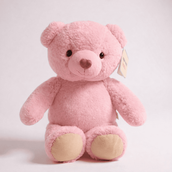 13 Inch Pink Plush Teddy Bear with Removable Pillow, Embroiderable Stuffed Animal, Storage Plush Toy, Baby Safe Gift