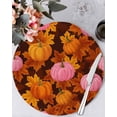 thumbnail image 1 of 13 Inch Round Placemats Set of 4, Pink Pumpkin Fall Non Slip Heat Insulation PP Table Mats, Thanksgiving Maple Leaves Farmhouse Washable Place Mats for Kitchen Dining Party Table Decor, 1 of 7