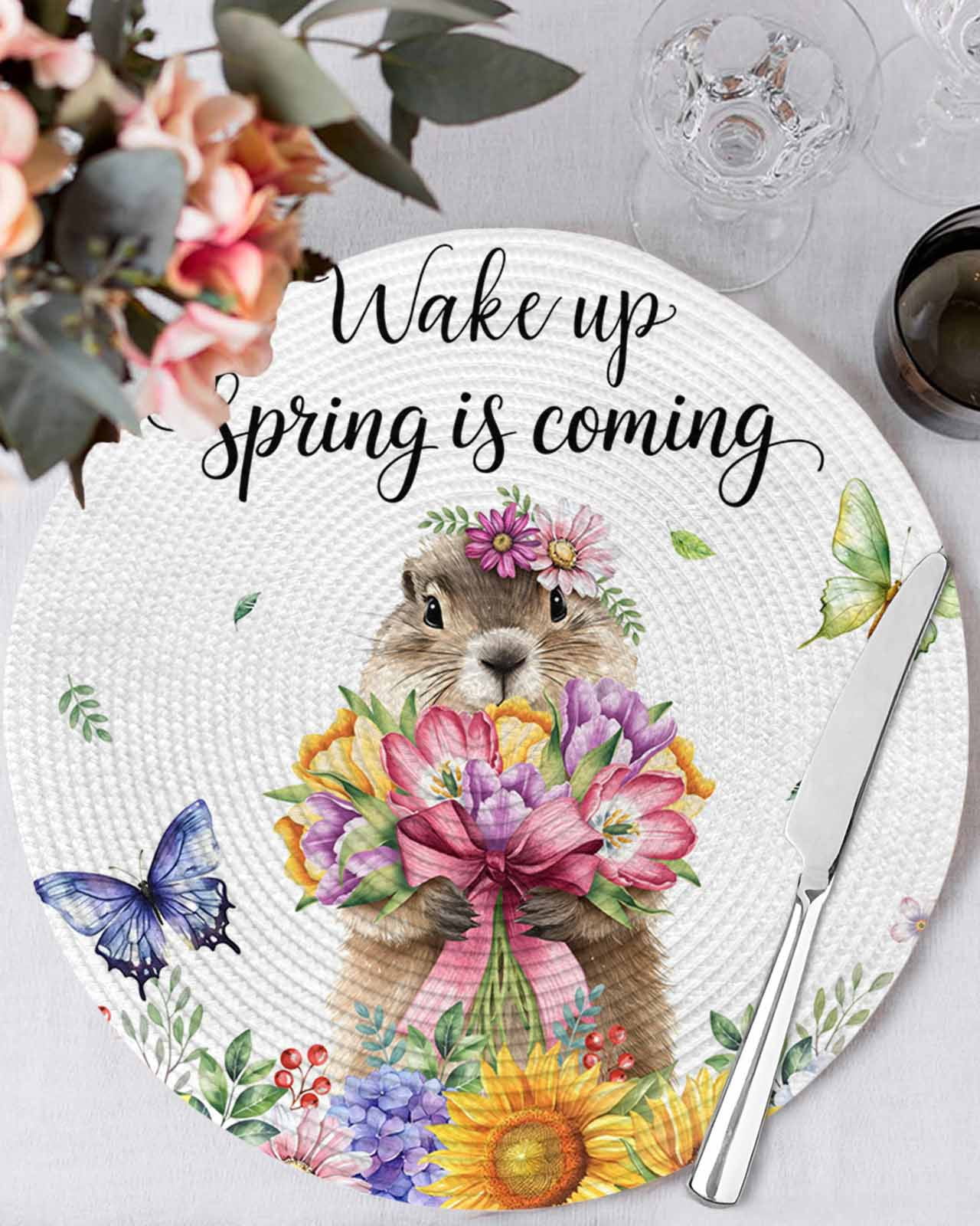 13 Inch Round Placemats Set of 6, Spring Groundhog Non Slip Heat ...