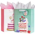 13" Large Gift Bags for Girls Birthday Party with Tissue Paper (2 Pack
