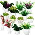 thumbnail image 1 of 13 Pcs Mini Potted Plants Flowerpot Model Artificial Toy House Flowers Plastic, 1 of 6