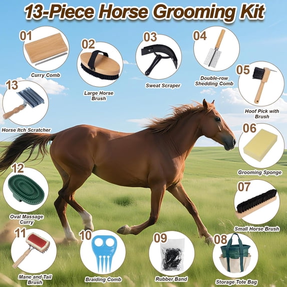 13-Piece Grooming Kit with Wood Brushes and Metal Tools for Daily Stable Care