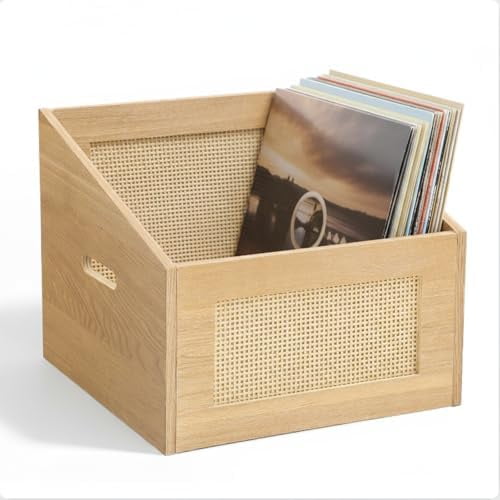 13 Rattan Vinyl Record Storage Record Holder Wicker Crates for Vinyl Rattan Album Storage for Desktop Home, Holds up to 60 Records$$Office