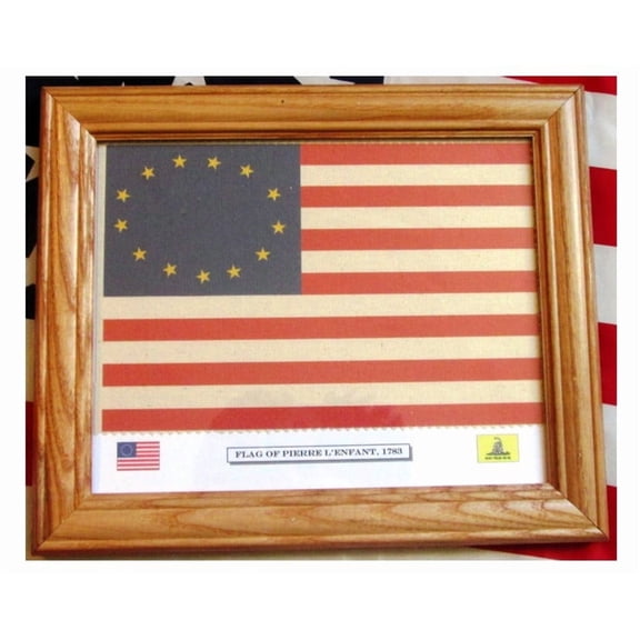 13 Star Flag, American Revolution Flag, Pierre L'Enfant Flag of 1783. Patriotic Wall Art, Wall Decor.