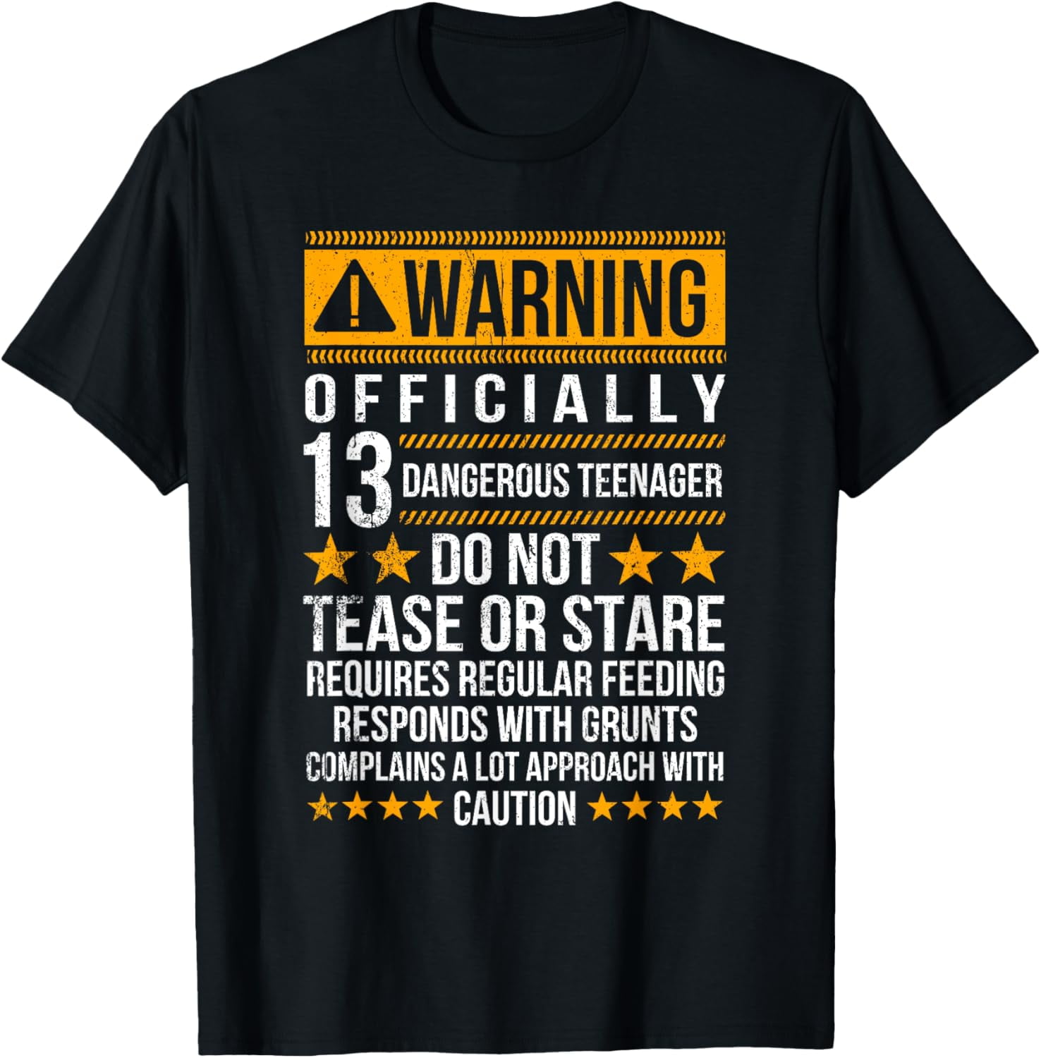 13 Years Old Warning Dangerous Teenager 13th Birthday T-ShirtMen and women, Black T-shirt, size: Extra large
