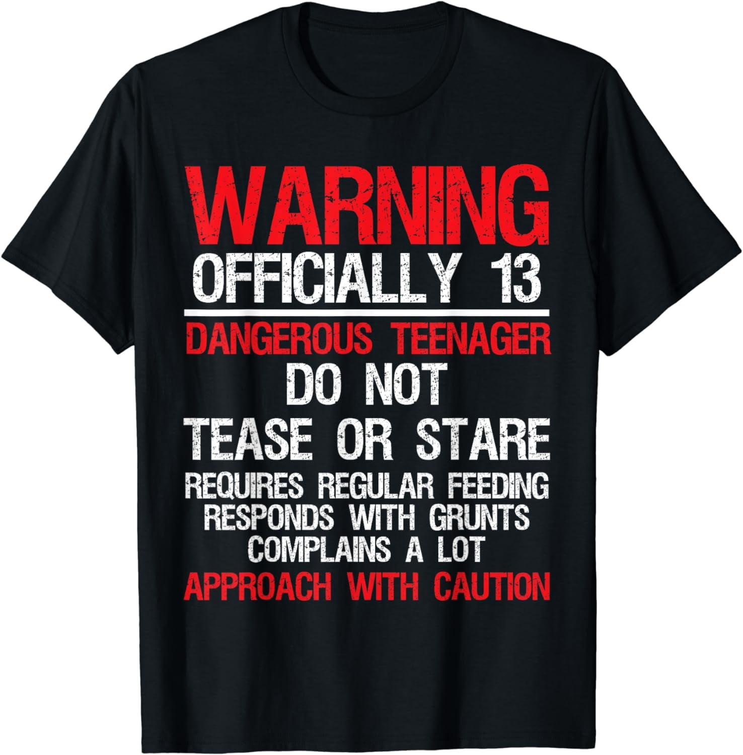 13 Years Old Warning Dangerous Teenager 13th Birthday T-Shirt