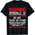 thumbnail image 1 of 13 Years Old Warning Dangerous Teenager 13th Birthday T-Shirt, 1 of 3