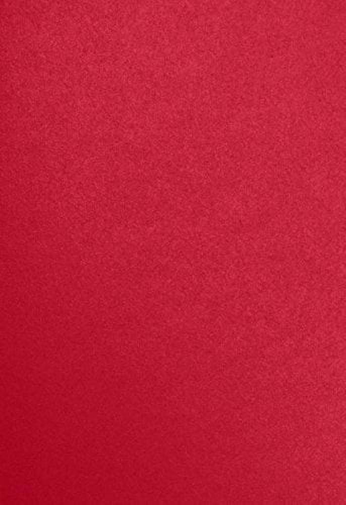 13 x 19 Cardstock - Jupiter Metallic (50 Qty.) | Perfect for Crafting ...